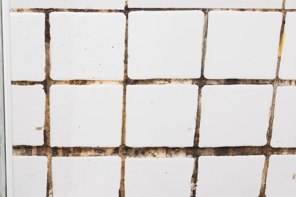 How to Clean Bathroom Mould Sanctuary Bathrooms